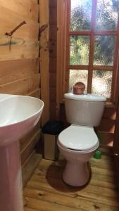 卡希卡Cabañas Villa Isabel的小屋内的浴室设有卫生间和水槽。