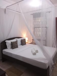 卡图纳耶克Kavee Transit Hotel的一间卧室配有一张带蚊帐的床