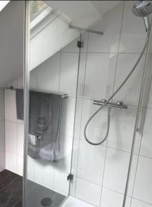 WaldHerzliches Zimmer im Zürcher Oberland的浴室里设有玻璃门淋浴