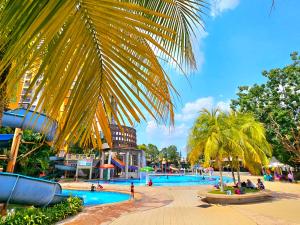马六甲Melaka BY LG Water Themepark & Resort By GGM的棕榈树水上公园的游泳池
