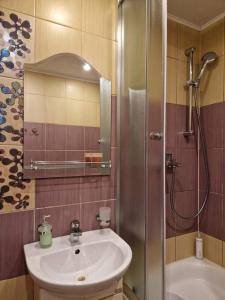 里加Iļģuciema Apartment的一间带水槽和淋浴的浴室
