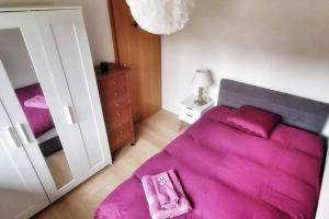 日内瓦Maison du Jonc, Genève-Aéroport的一间小卧室,配有粉红色的床和镜子