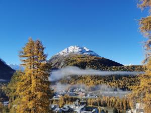 蓬特雷西纳Ferienwohnung Pontresina - Chesa Andrea - Gartensitzplatz的远方的山,前面有一座城镇