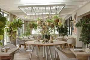 拉伊The Gallivant的一间设有桌椅和盆栽的餐厅