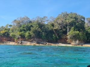 孔塔多拉Villa Rehobot的水体上树木繁茂的岛屿