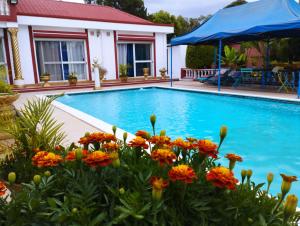 Talata-matyPetite Flower Guest House的一座在房子前方种植橙花的游泳池
