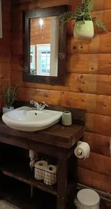 特兹西尼德299 Willow Lodge的一间带水槽、镜子和卫生间的浴室