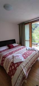 泰穆Appartamenti Flora Alpina的一间卧室设有一张大床和大窗户