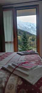 泰穆Appartamenti Flora Alpina的山景卧室 - 带1张床