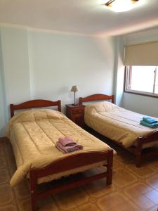 圣萨尔瓦多德朱Samaraña depto Jujuy的一间卧室设有两张床和窗户。