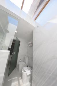 卡库佩上格拉西亚公园酒店 的白色的浴室设有卫生间和水槽。