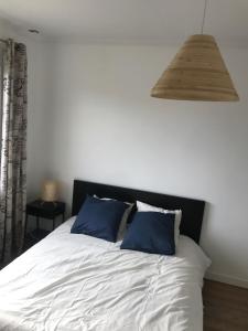 图卢兹Maison confortable et calme/5 chambres & 6 SdB的一间卧室配有白色床和蓝色枕头