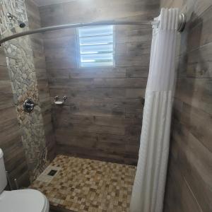 库莱布拉Always Summer Inn的带淋浴和卫生间的浴室