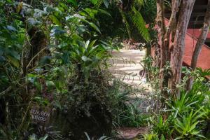 佩尼多Casa em penedo com cachoeira的种有树木和植物的花园,人行道