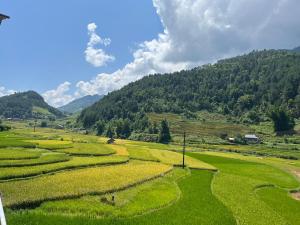 Mù Cang ChảiHomestay Hoa Thao的一片大片绿地,背景是群山