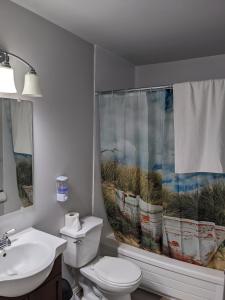 萨斯卡通Bi-Level Suite in Saskatoon的浴室设有卫生间、水槽和淋浴帘