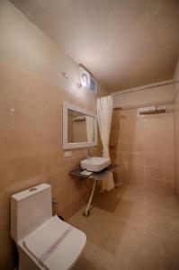 萨瓦伊马多普尔狩虎台酒店的一间带卫生间和水槽的浴室