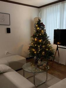 水原市Maison de Haenggung的一间客厅,客厅里放着圣诞树