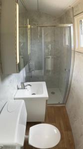 米茨兰Chalet De Miranda的一间带水槽、卫生间和淋浴的浴室