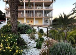 阿利坎特Miniloft en la playa的棕榈树和植物的度假建筑