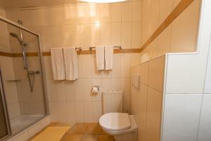菲根贝格Hof Unterhuben的一间带卫生间和淋浴的小浴室