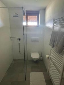 因斯布鲁克皮尔兰豪斯公寓的一间带卫生间和淋浴的小浴室