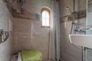 博德森特克Rudnica Hill Lodge - Happy Rentals的一间带水槽和淋浴的浴室