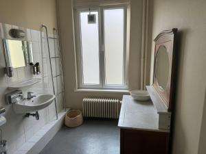安特卫普Hotel Rubenshof的一间带水槽和镜子的浴室以及窗户。