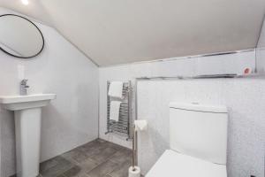 普雷斯蒂克Berelands House - Donnini Apartments的一间带卫生间、水槽和镜子的浴室