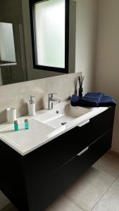 Gilly-sur-IsèreChez Chris et Gildas的浴室设有白色水槽和镜子