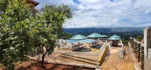 ShameneiAngani Resorts & Spa Limited的享有带遮阳伞和桌椅的游泳池的景致。
