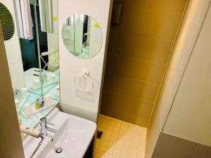 鲁瓦西昂法兰西阿克蒂苏尔斯施坦丁套房酒店的一间带水槽和镜子的浴室