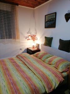 兹拉蒂博尔Kućica za odmor-Borova glava的一间卧室配有一张床和一张带台灯的桌子