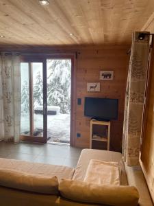 蒙热内夫尔Cosy Mountain _ free park的小屋内的客厅配有沙发和电视