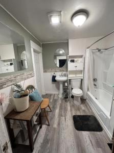 伯明翰Cozy Historic Getaway的浴室配有盥洗盆、卫生间和浴缸。
