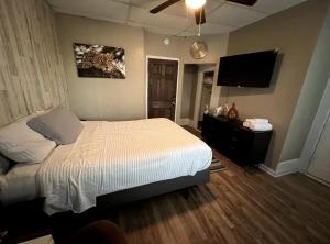 伯明翰Cozy Historic Getaway的一间卧室配有一张床和一台平面电视