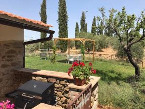 斯坎萨诺Tenuta Le Mandorlaie, Agriturismo in Scansano的一个带烧烤架和鲜花桌的庭院
