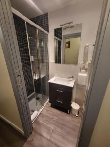 昂代贝尔维酒店的一间带水槽、淋浴和镜子的浴室