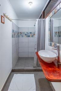托尔图格罗La Casona Eco-Lodge Tortuguero的一间带水槽和淋浴的浴室