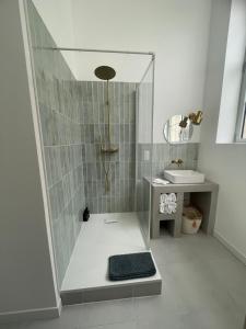 多勒Appartement avec terrasse的带淋浴和盥洗盆的浴室