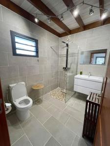 圣若瑟Austral House-chalet sud sauvage的浴室配有卫生间、淋浴和盥洗盆。