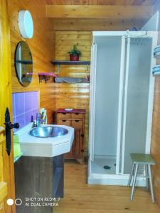Rebollar厄尔林孔德尔赫尔特乡村公寓酒店的一间带水槽和淋浴的浴室