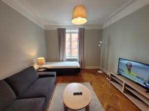 斯德哥尔摩Home Inn FKG110的带沙发和平面电视的客厅