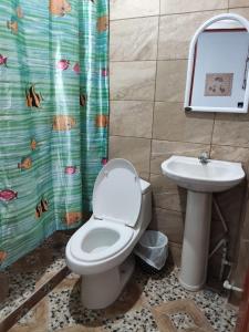 拉乌尼翁Hostal Santa Marta的一间带卫生间和水槽的浴室