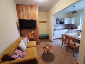 特伦钦温泉镇Apartmán PAWLONIA的带沙发的客厅和厨房
