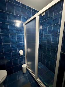 萨图马雷Hanul lui Ionut 2的蓝色瓷砖浴室配有淋浴和卫生间。