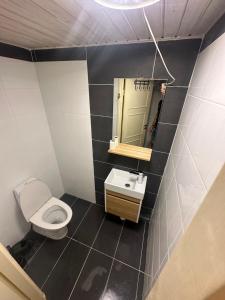 SödervärnRum C的一间带卫生间、水槽和镜子的浴室