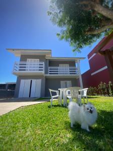 帕苏迪托雷斯Casa Bellatorres的一只白狗站在房子前面的草地上