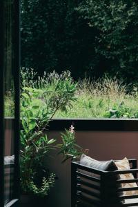 维希Maison Decoret - Relais & Châteaux的窗户的景色,设有长凳和植物