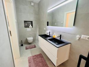 阿尔泽特河畔埃施Appartement - Rue du Canal的浴室设有黑白水槽和卫生间。
